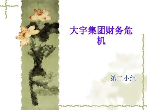 大宇集团财务危机