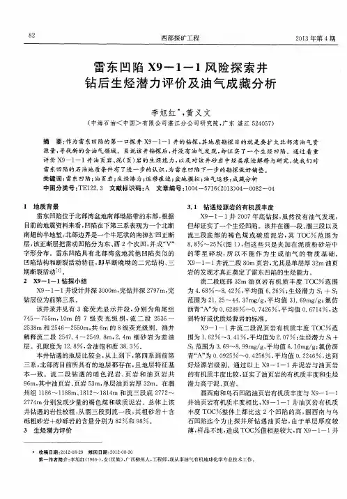 雷东凹陷X9—1—1风险探索井钻后生烃潜力评价及油气成藏分析