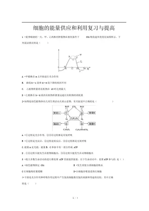 人教新课标高中生物必修一第5章细胞的能量供应和利用复习与提高基础练习