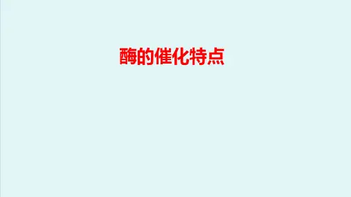 酶—酶的催化特性(生物化学课件)