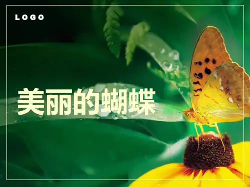 小学美术说课稿《美丽的蝴蝶》