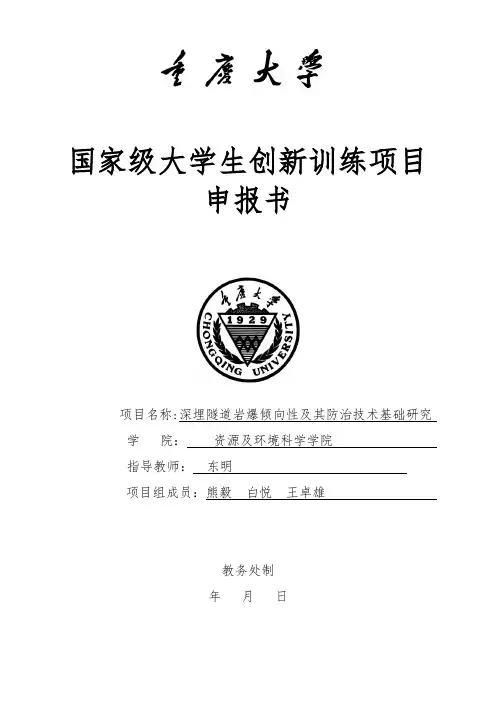 国家级大学生创新训练项目申报书范本