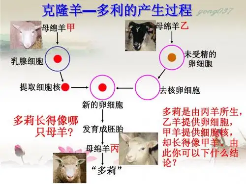 3.3 细胞核-系统的控制中心