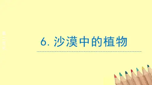 苏教版 三年级科学下册  《沙漠中的植物》 (课件14ppt)