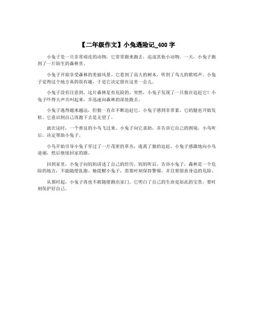 【二年级作文】小兔遇险记_400字 2