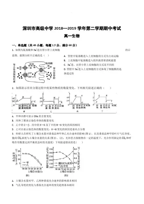广东省深圳市高级中学2018-2019学年高一下学期期中考试生物附答案