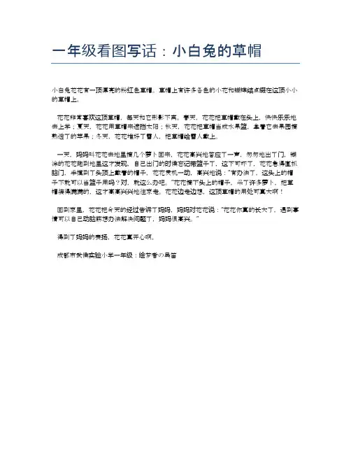 一年级看图写话：小白兔的草帽