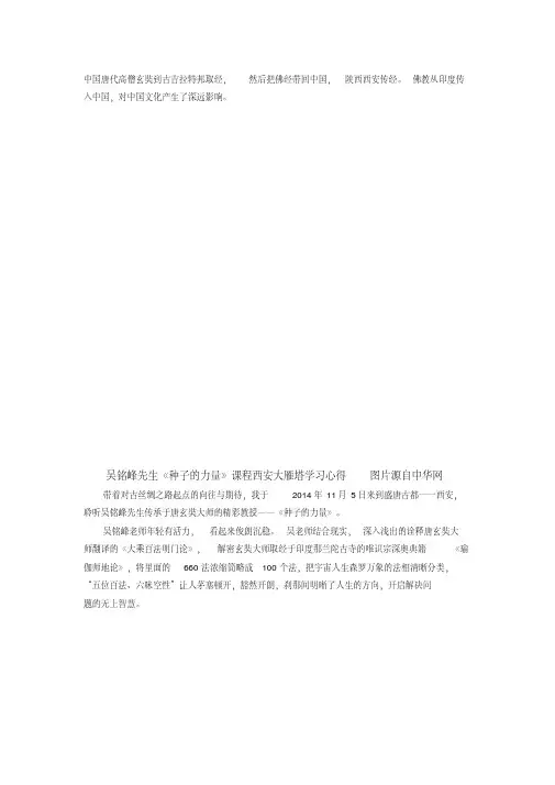 吴铭峰先生《种子的力量》课程西安大雁塔学习心得.