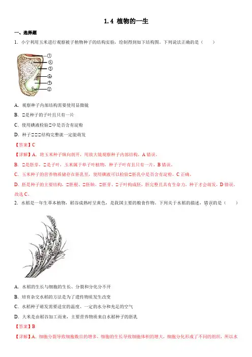 1.4 植物的一生--【高效课堂】浙教版七年级下册科学同步练习