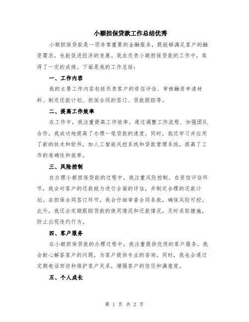 小额担保贷款工作总结优秀
