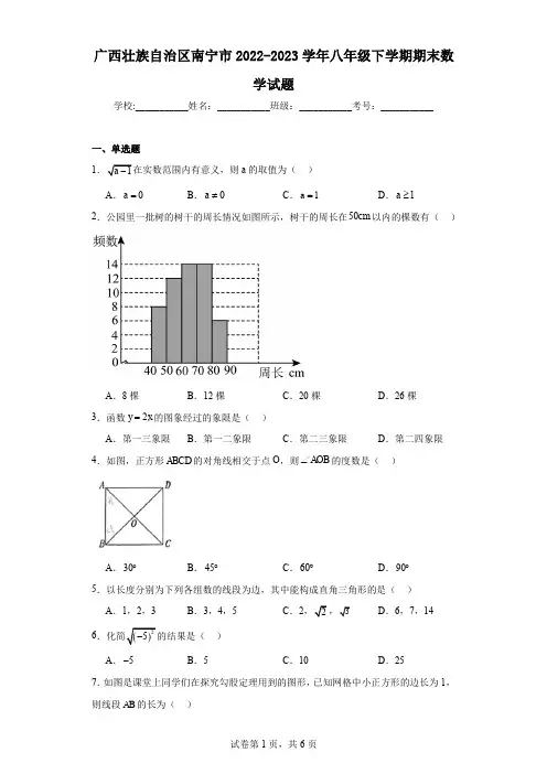 广西壮族自治区南宁市2022-2023学年八年级下学期期末数学试题