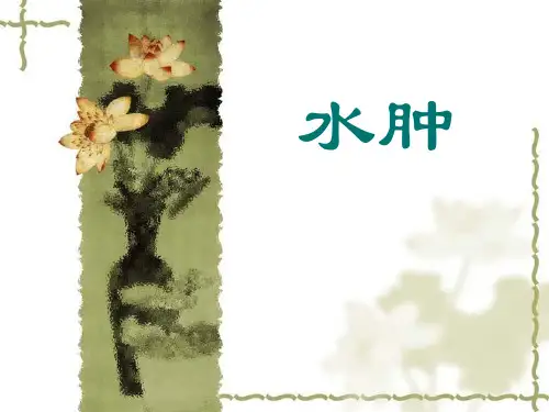 中医PPT课件：水肿