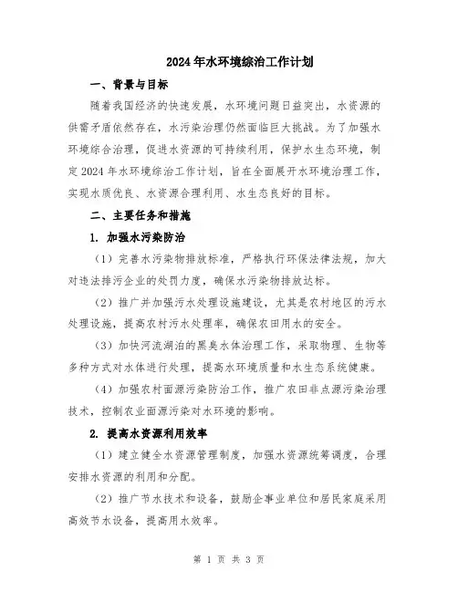 2024年水环境综治工作计划