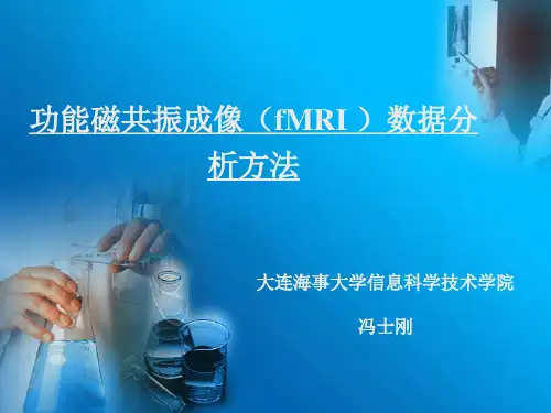 fMRI数据处理