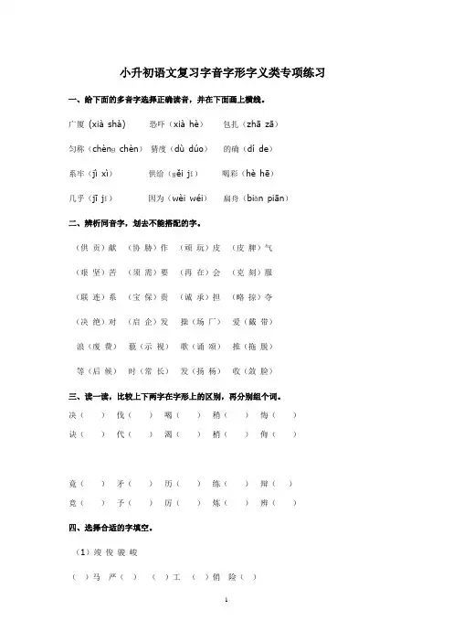 小升初语文复习字音字形字义类专项练习