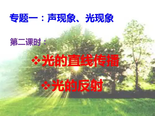第二课时：光的直线传播和反射