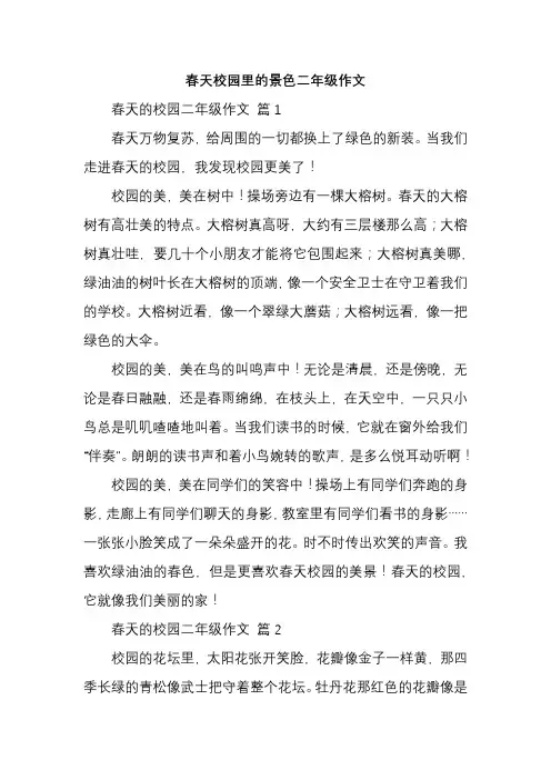 春天校园里的景色二年级作文