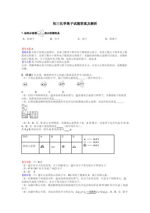 初三化学离子试题答案及解析
