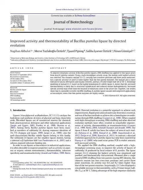 Improved activity and thermostability of Bacillus pumilus lipase by directed