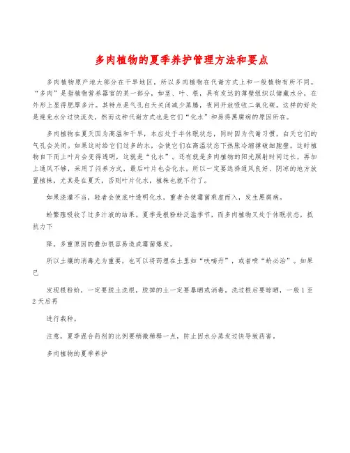 多肉植物的夏季养护管理方法和要点