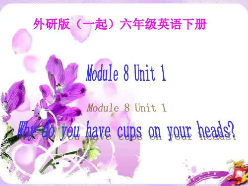 外研版六年级下册英语Module8Unit1Why-do-you-have-cups-on-your-heads