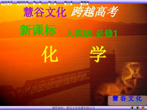 人教版高中化学必修一(全套)最新优质ppt课件