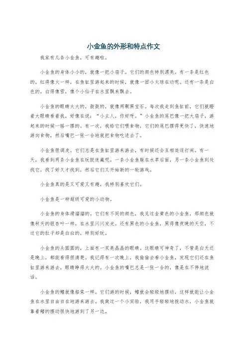 小金鱼的外形和特点作文
