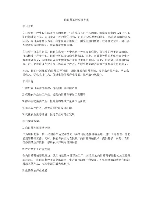 向日葵工程项目方案
