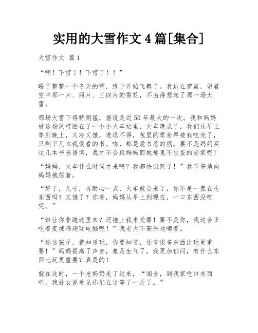 实用的大雪作文4篇[集合]
