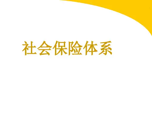 居民基本医疗保险  ppt课件