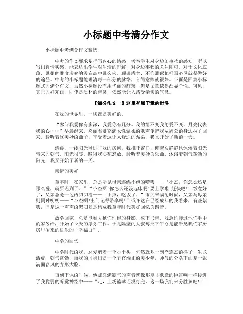 小标题中考满分作文