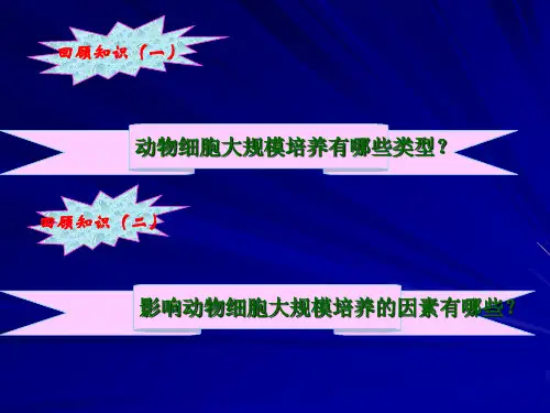 11-10动物细胞表达制备药用蛋白