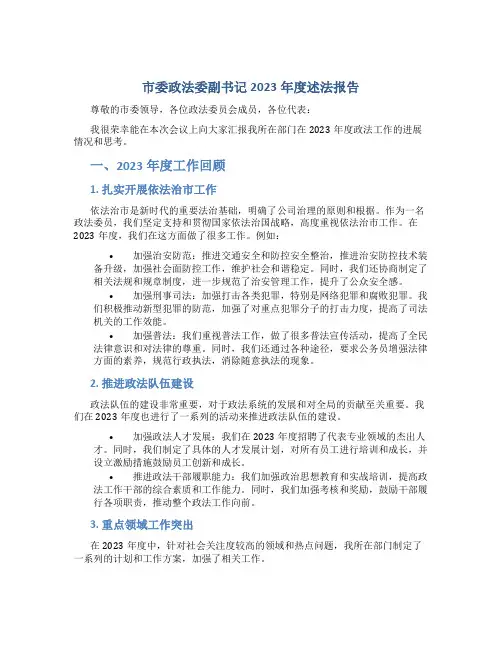 市委政法委副书记2023年度述法报告
