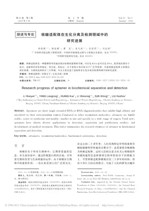 核酸适配体在生化分离及检测领域中的研究进展