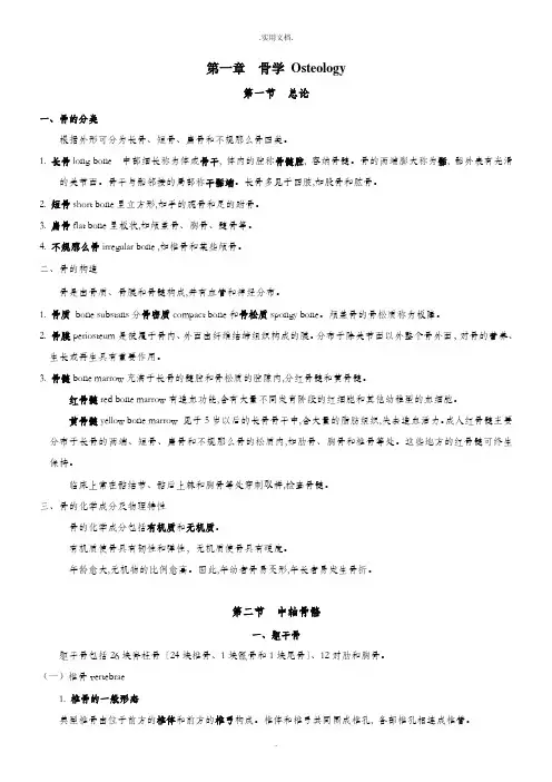 系统解剖学重要知识点+大纲总结