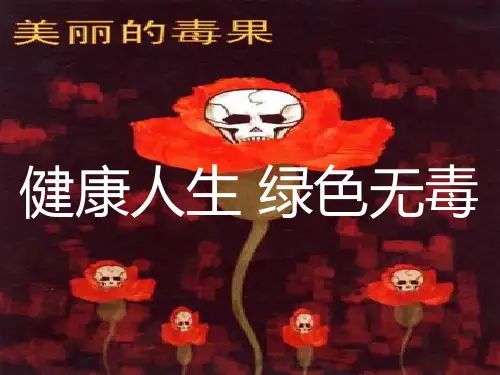 禁毒课件“健康人生,绿色无毒”(42张PPT)