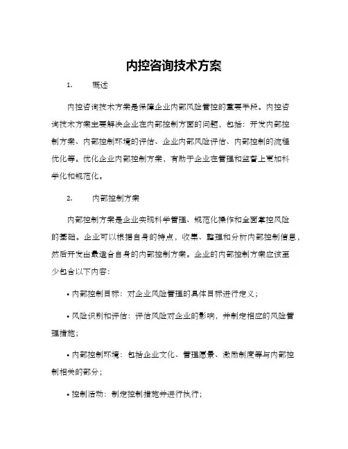 内控咨询技术方案
