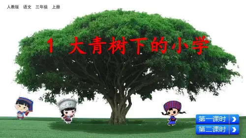 部编人教版三年级语文上册第1课《大青树下的小学》精美PPT课件