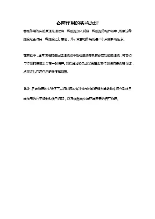 吞噬作用的实验原理