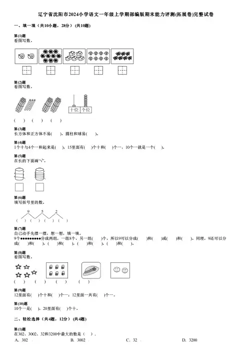 辽宁省沈阳市2024小学数学一年级上学期部编版期末能力评测(拓展卷)完整试卷
