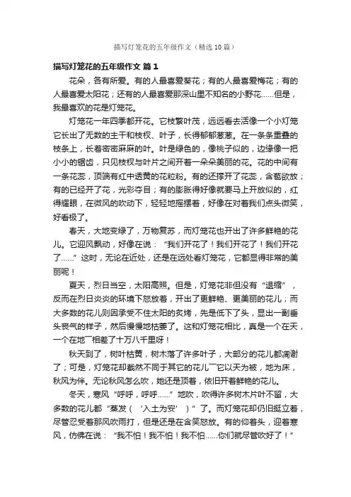 描写灯笼花的五年级作文（精选10篇）