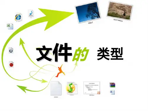 高中信息技术必修课件-2.3.1 文件及其类型7-教科版