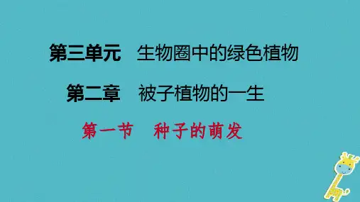 第一节种子的萌发第2课时种子萌发的自身条件和过程课件(人教版生物)