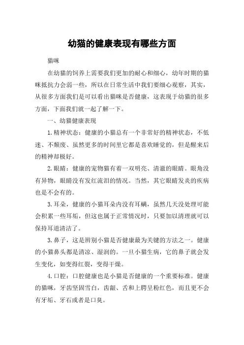 幼猫的健康表现有哪些方面