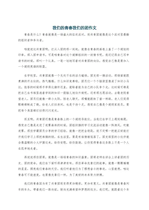 我们的青春我们的团作文