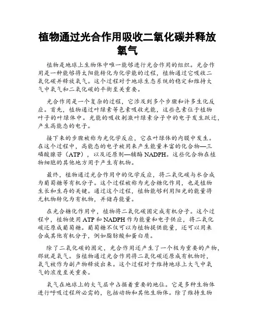 植物通过光合作用吸收二氧化碳并释放氧气