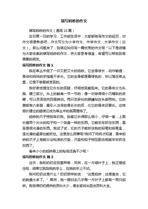 描写蚂蚱的作文