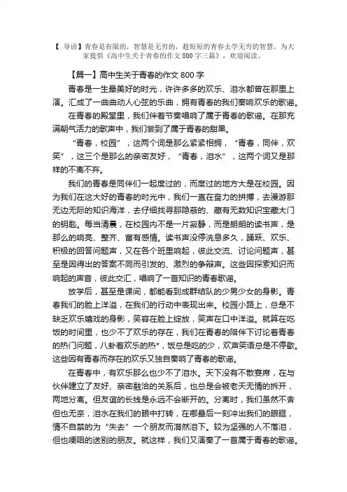 高中生关于青春的作文800字三篇