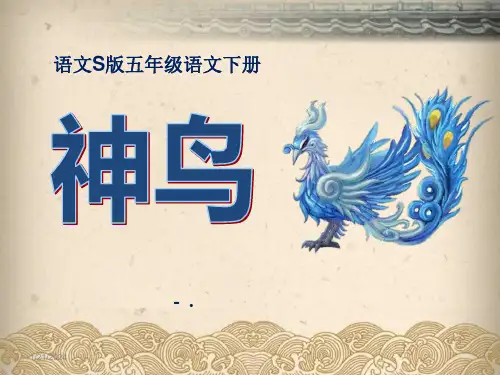 《神鸟》PPT课件