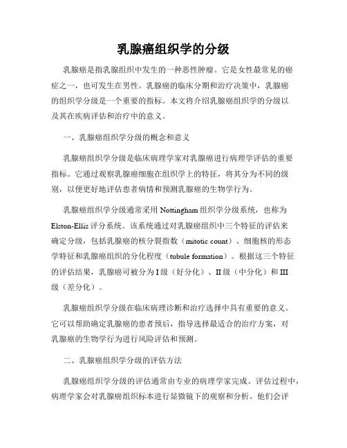 乳腺癌组织学的分级